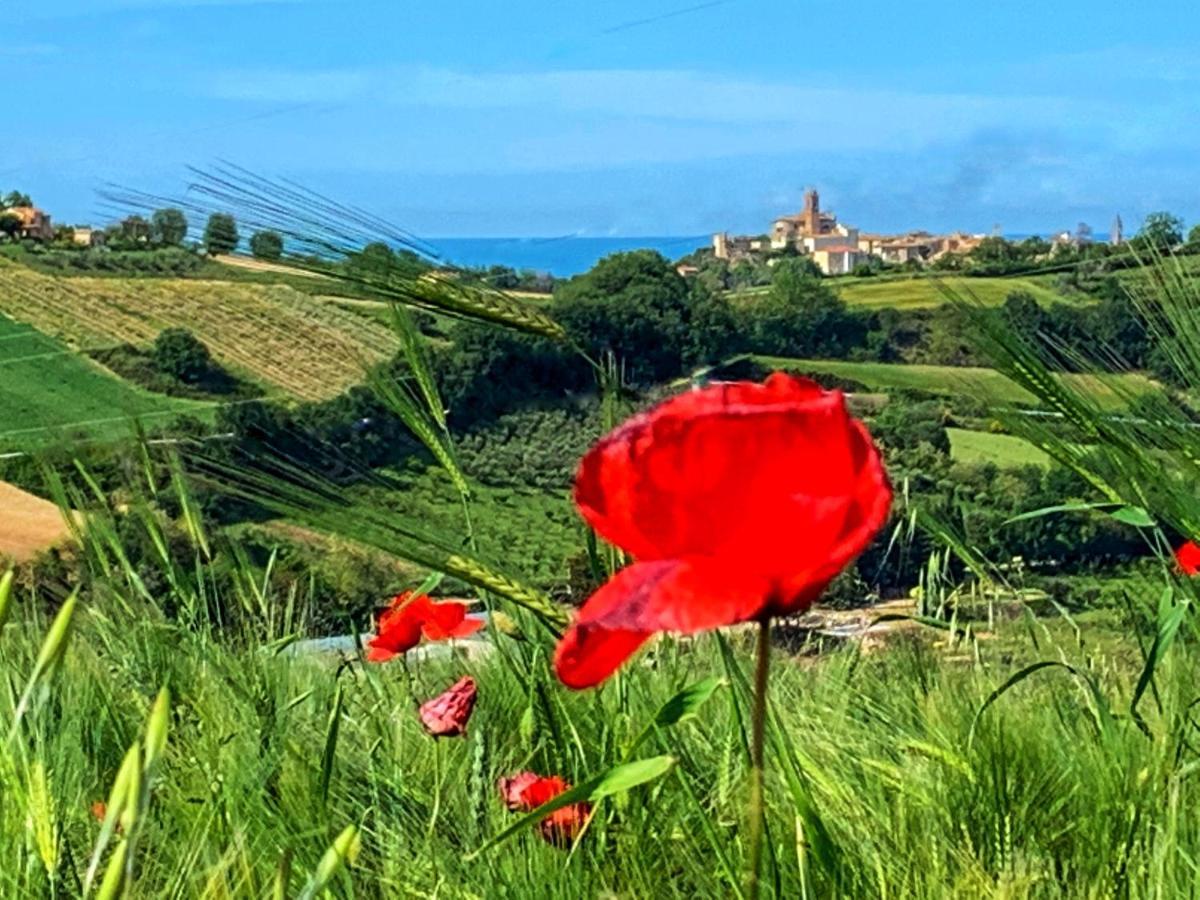 Chiaraluce Country House Massignano Luaran gambar