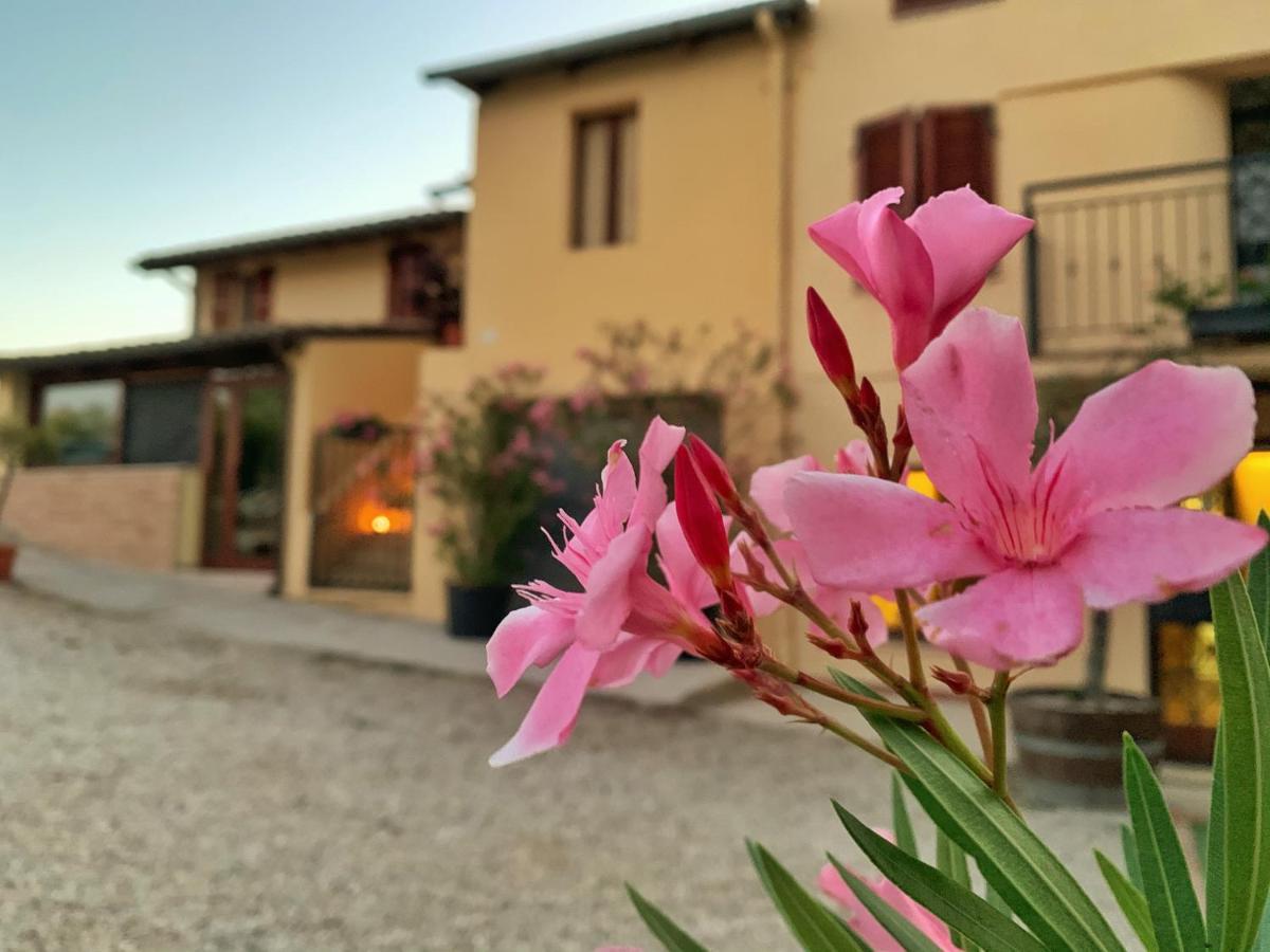 Chiaraluce Country House Massignano Luaran gambar